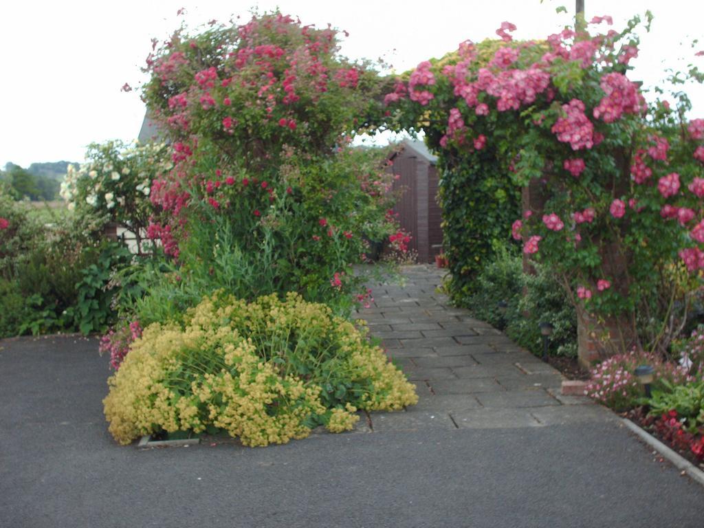 The Lilacs Ashbourne  Buitenkant foto